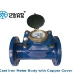 YOUWIN Cast Iron Flanged Water Meter with Copper Cover