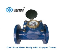 YOUWIN Cast Iron Flanged Water Meter with Copper Cover